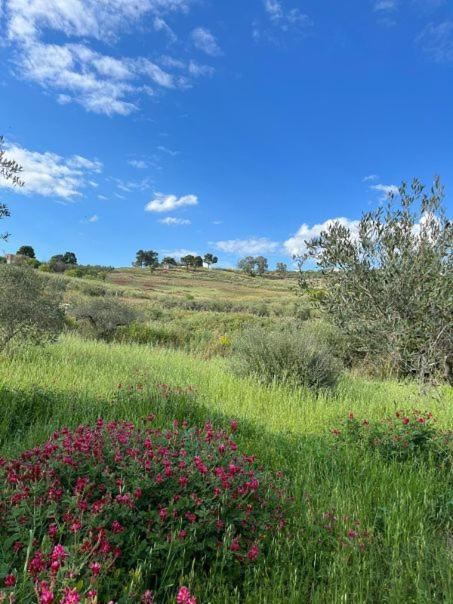 Casa Country Villa Agrigento Eksteriør bilde