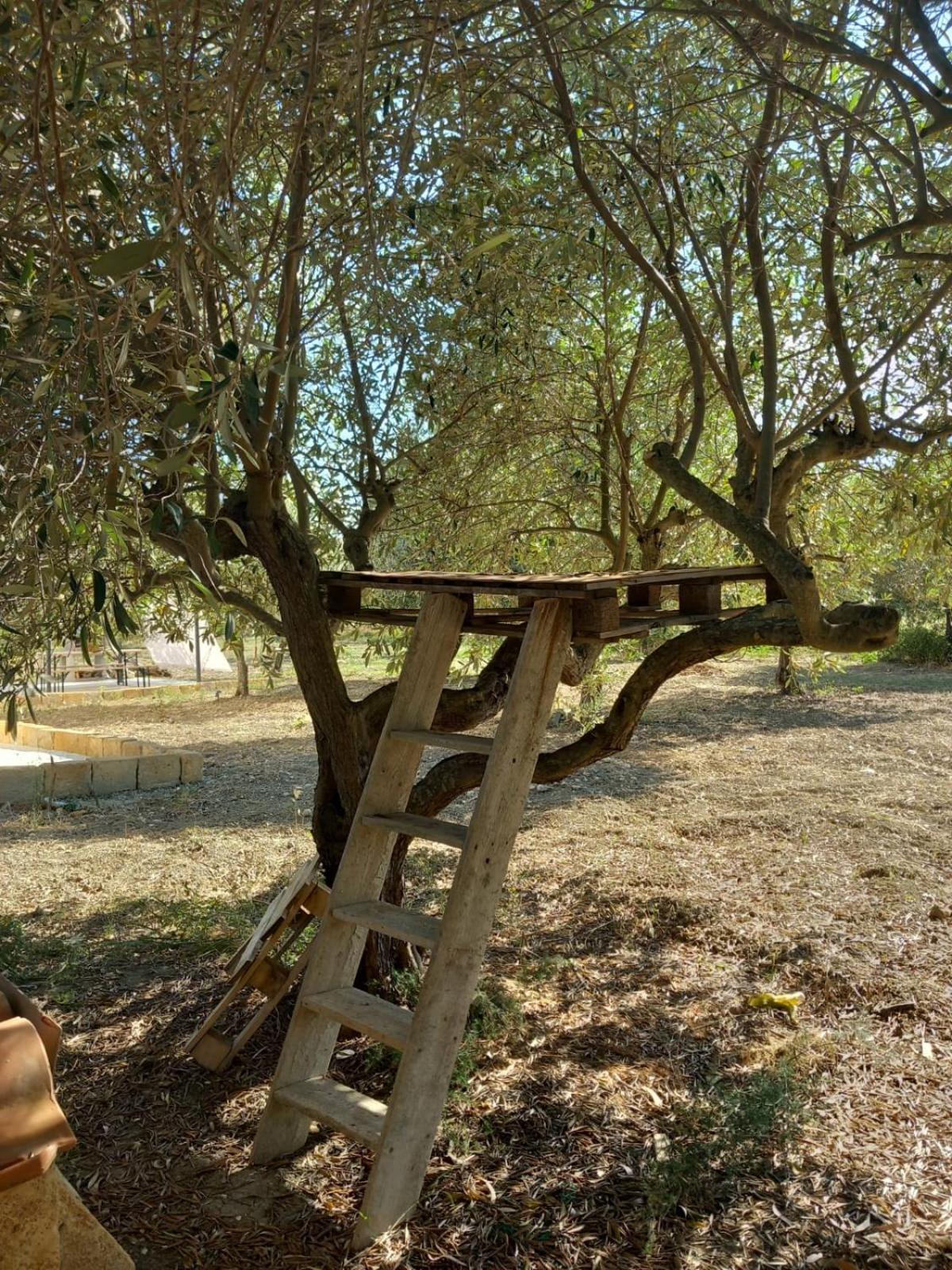 Casa Country Villa Agrigento Eksteriør bilde